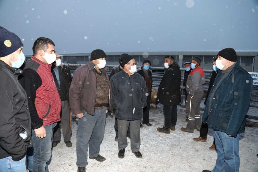 Çubuk Belediye Başkanı Demirbaş, Canlı Hayvan Pazarını Denetledi