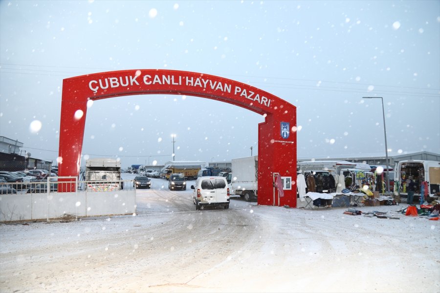 Çubuk Belediye Başkanı Demirbaş, Canlı Hayvan Pazarını Denetledi