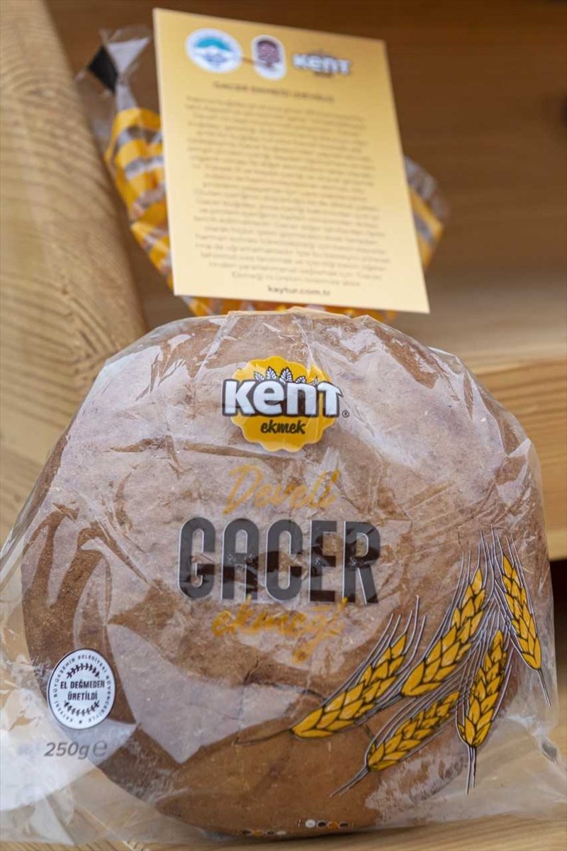 Kayseri'de Ata Tohumu 