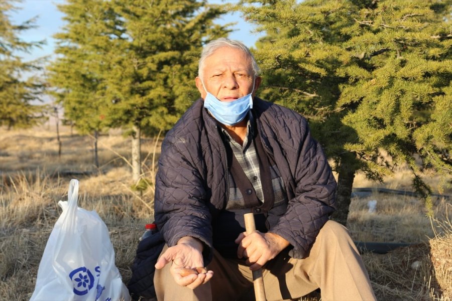 Ağaç Sevgisi Bozkırın Ortasında Küçük Bir Ormana Dönüştü