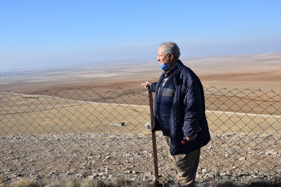 Ağaç Sevgisi Bozkırın Ortasında Küçük Bir Ormana Dönüştü