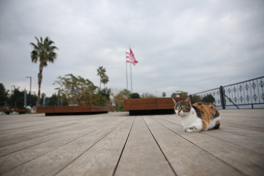 Antalya, Muğla, Isparta Ve Burdur'da Sokağa Çıkma Kısıtlamasıyla Sakin Bir Gün Yaşanıyor