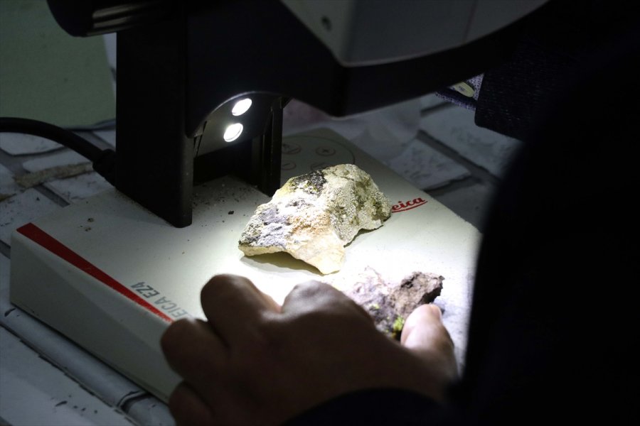 Antarktika'nın Likenleri Türk Bilim İnsanına Tüba Ödülünü Kazandırdı