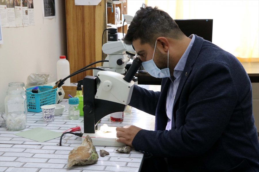 Antarktika'nın Likenleri Türk Bilim İnsanına Tüba Ödülünü Kazandırdı