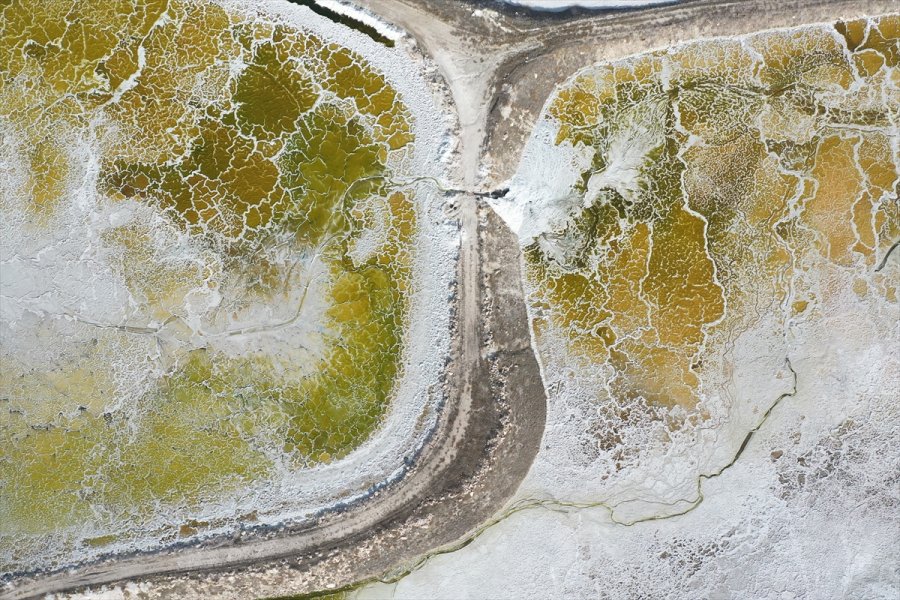 Enerji Ve Tabii Kaynaklar Bakanı Dönmez, Eti Maden Lityum Üretim Tesisi Açılış Töreni'nde Konuştu: