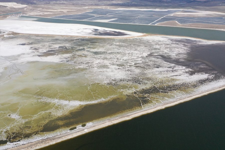 Enerji Ve Tabii Kaynaklar Bakanı Dönmez, Eti Maden Lityum Üretim Tesisi Açılış Töreni'nde Konuştu: