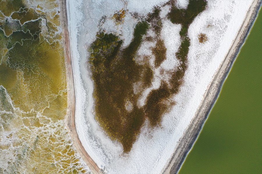 Enerji Ve Tabii Kaynaklar Bakanı Dönmez, Eti Maden Lityum Üretim Tesisi Açılış Töreni'nde Konuştu: