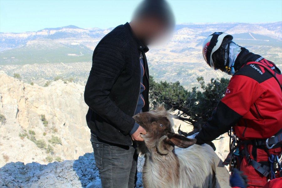 Mersin'de Kayalıklarda Mahsur Kalan Keçi Kurtarıldı