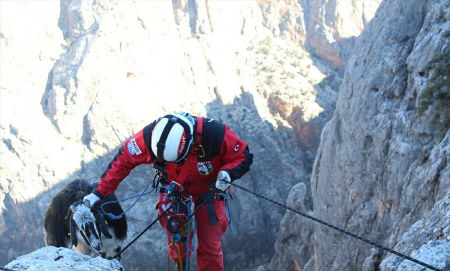 Mersin'de Kayalıklarda Mahsur Kalan Keçi Kurtarıldı