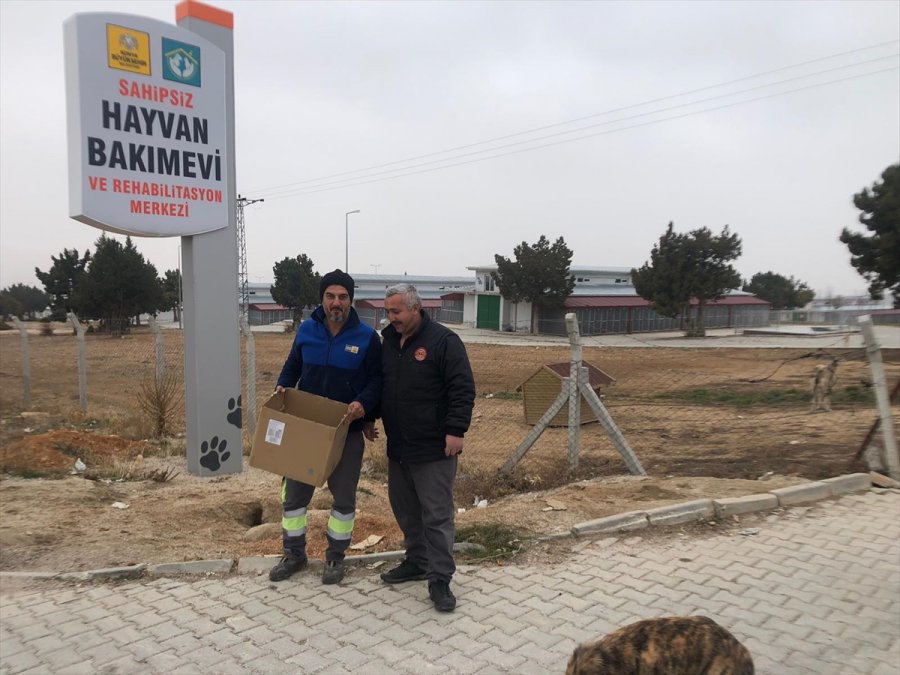 Seydişehir Belediyesi Ekipleri Bakıma Muhtaç Hayvanlara Sahip Çıkıyor