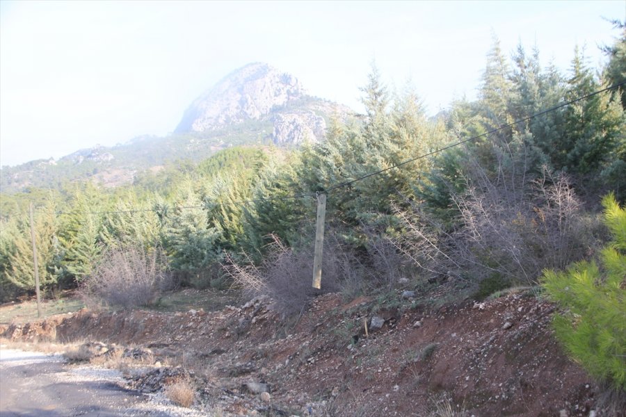 Antalya'da Telefon Direkleri Kablolarıyla Çalınınca Mahalleli İnternetsiz Kaldı