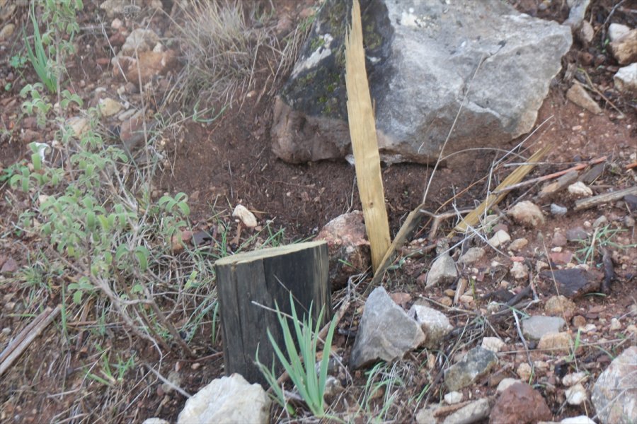 Antalya'da Telefon Direkleri Kablolarıyla Çalınınca Mahalleli İnternetsiz Kaldı