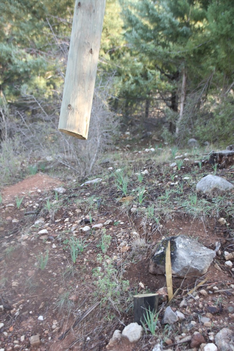 Antalya'da Telefon Direkleri Kablolarıyla Çalınınca Mahalleli İnternetsiz Kaldı