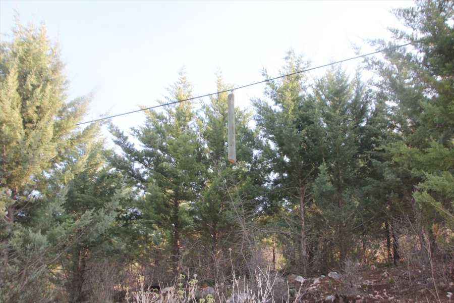 Antalya'da Telefon Direkleri Kablolarıyla Çalınınca Mahalleli İnternetsiz Kaldı