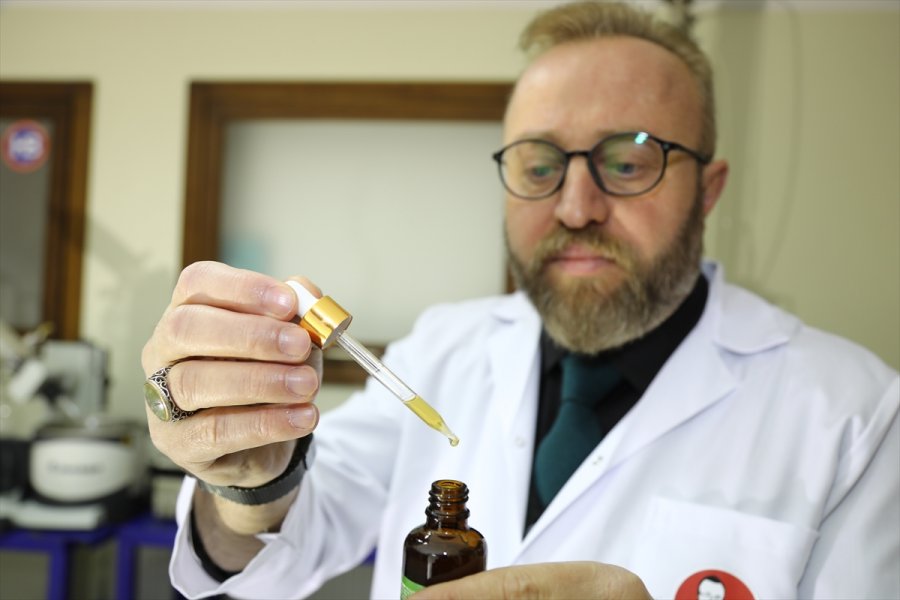 Çam Kozalağını Bor İle Birleştirerek Gıda Takviyesi Geliştirdiler