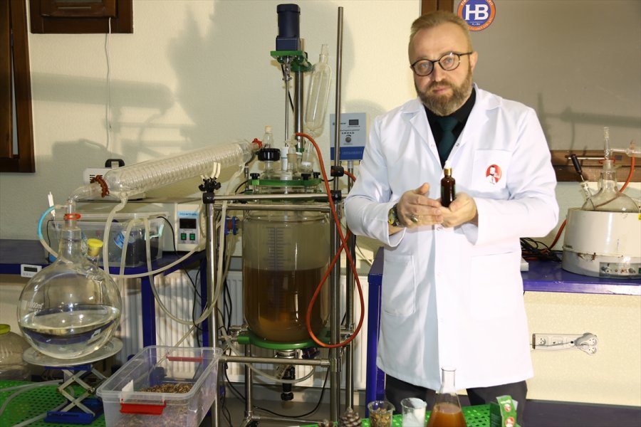 Çam Kozalağını Bor İle Birleştirerek Gıda Takviyesi Geliştirdiler