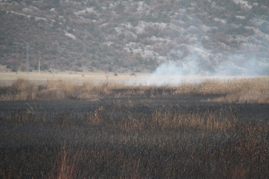 Beyşehir Gölü Kenarındaki Sazlık Alanda Yangın Çıktı