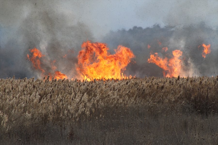 Beyşehir Gölü Kenarındaki Sazlık Alanda Yangın Çıktı