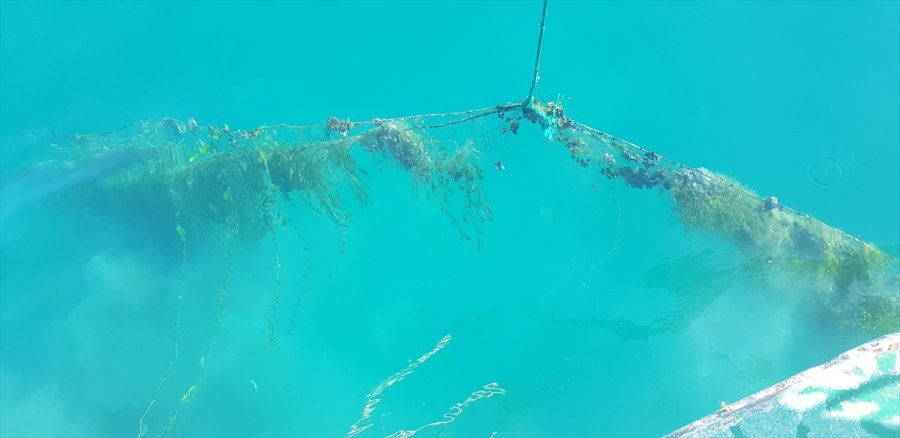 Beyşehir Gölü'nden Çıkarılan 