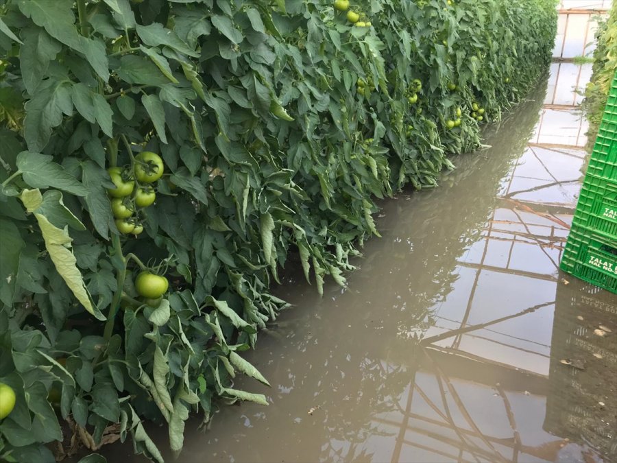 Kaş'a Sağanak Nedeniyle Seraları Su Bastı