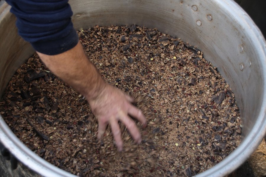 Mersin'de Keçiboynuzunun Pekmeze Yolculuğu Başladı