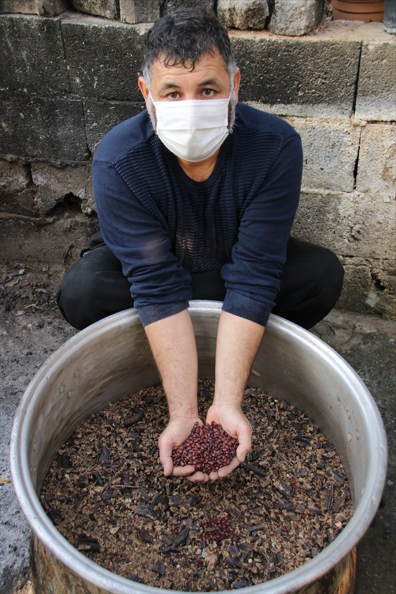 Mersin'de Keçiboynuzunun Pekmeze Yolculuğu Başladı