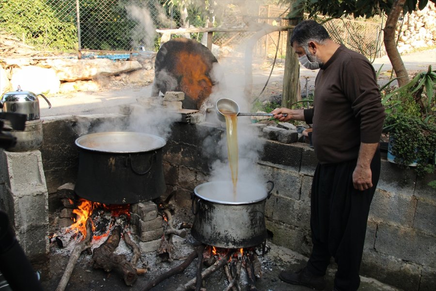 Mersin'de Keçiboynuzunun Pekmeze Yolculuğu Başladı