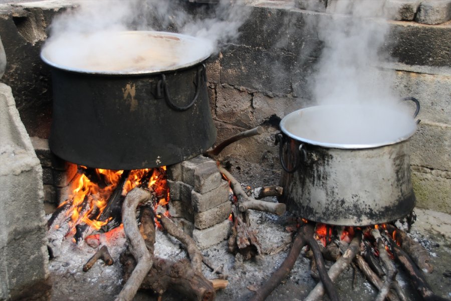 Mersin'de Keçiboynuzunun Pekmeze Yolculuğu Başladı