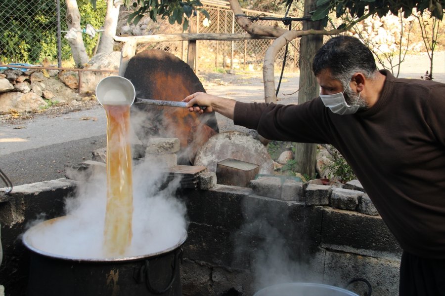Mersin'de Keçiboynuzunun Pekmeze Yolculuğu Başladı