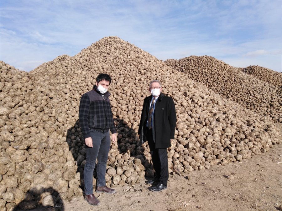 Eskişehir Şeker Fabrikası 1 Milyon 750 Bin Ton Şeker Pancarı Aldı