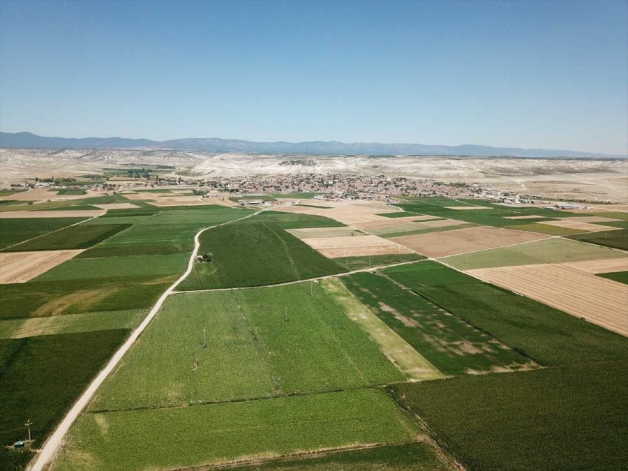 Eskişehir'de 2020 Yılında 14 Bin Hektar Alan Toplulaştırıldı