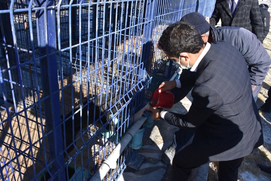Karapınar'da Sokak Hayvanlarının Barındığı Bakımevine Ziyaret