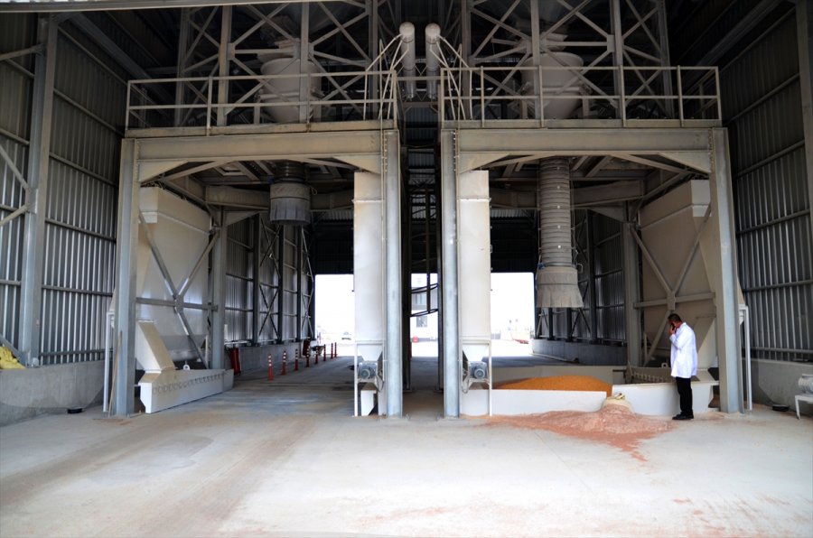 Lisanslı Depoculuk Sistemi Çiftçinin Kazancını Artırıyor