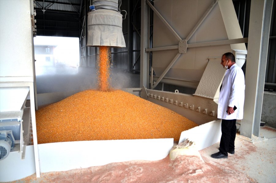 Lisanslı Depoculuk Sistemi Çiftçinin Kazancını Artırıyor