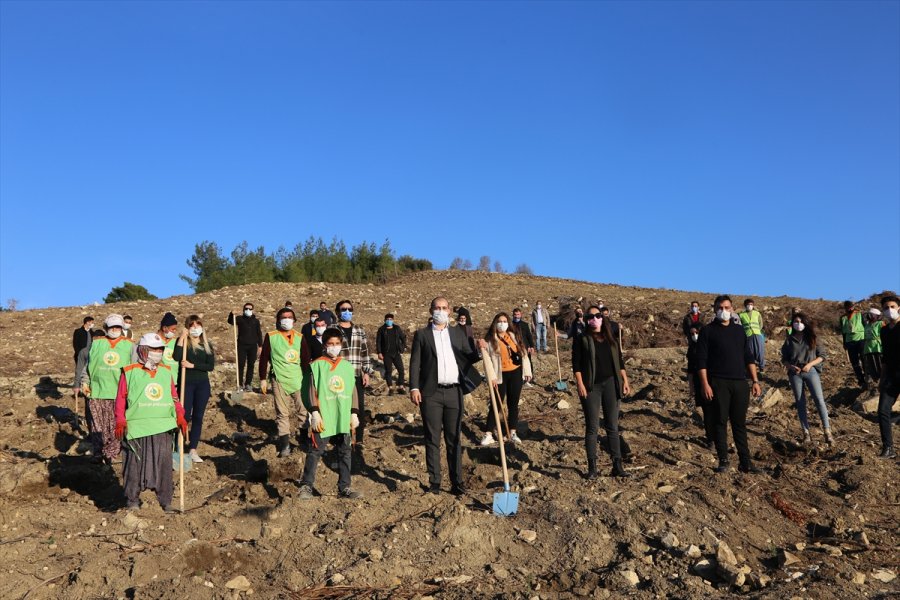 Mersin'de Ak Parti'li Gençler Şehitler Anısına 405 Fidanı Toprakla Buluşturdu