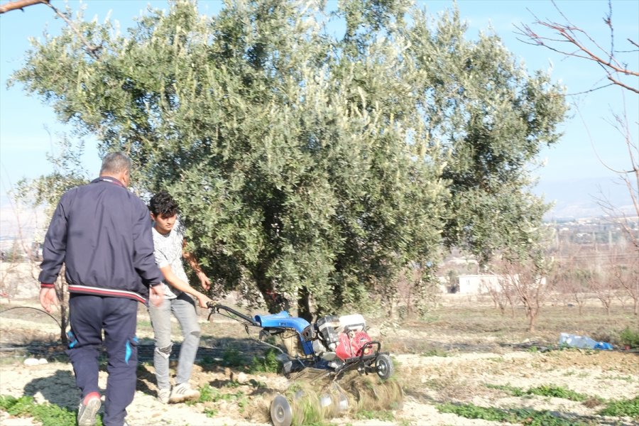Mut'ta Bahçelerde Kışlık Bakım Başladı