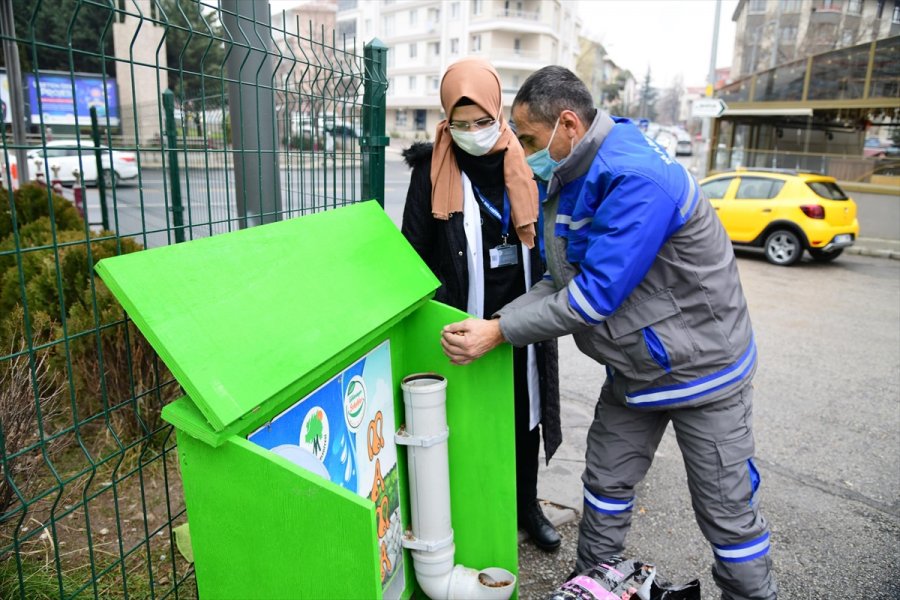 Mamak Belediyesi'nden Sokak Hayvanlarına Yiyecek Desteği