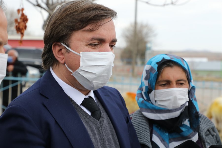 Aksaray Valiliği Trafik Kazasında Koyunları Telef Olan Şerife Nineyi Sevindirdi