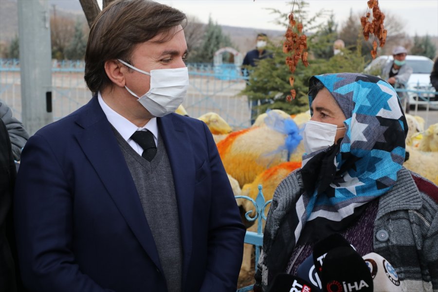 Aksaray Valiliği Trafik Kazasında Koyunları Telef Olan Şerife Nineyi Sevindirdi