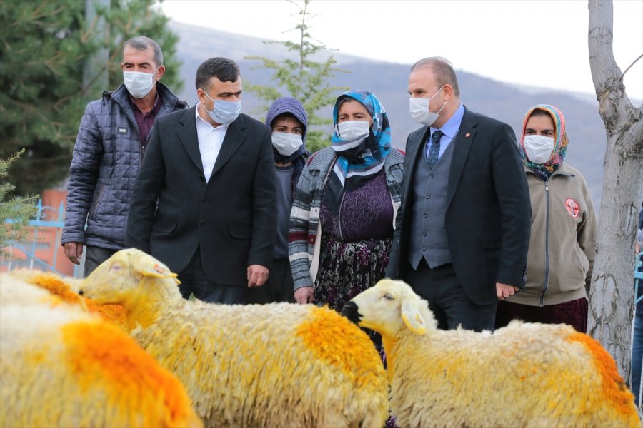 Aksaray Valiliği Trafik Kazasında Koyunları Telef Olan Şerife Nineyi Sevindirdi