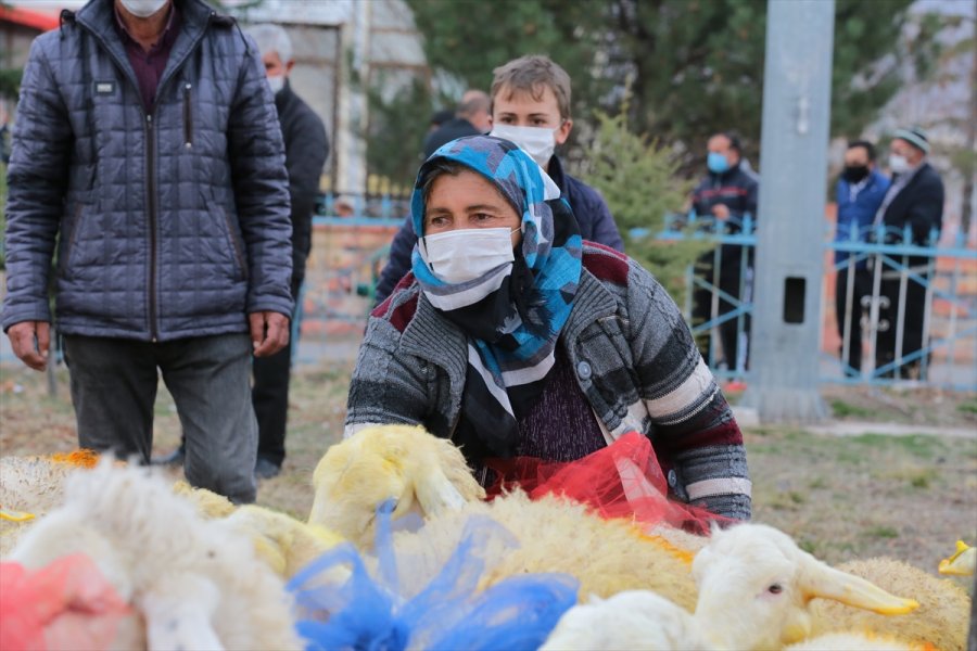 Aksaray Valiliği Trafik Kazasında Koyunları Telef Olan Şerife Nineyi Sevindirdi