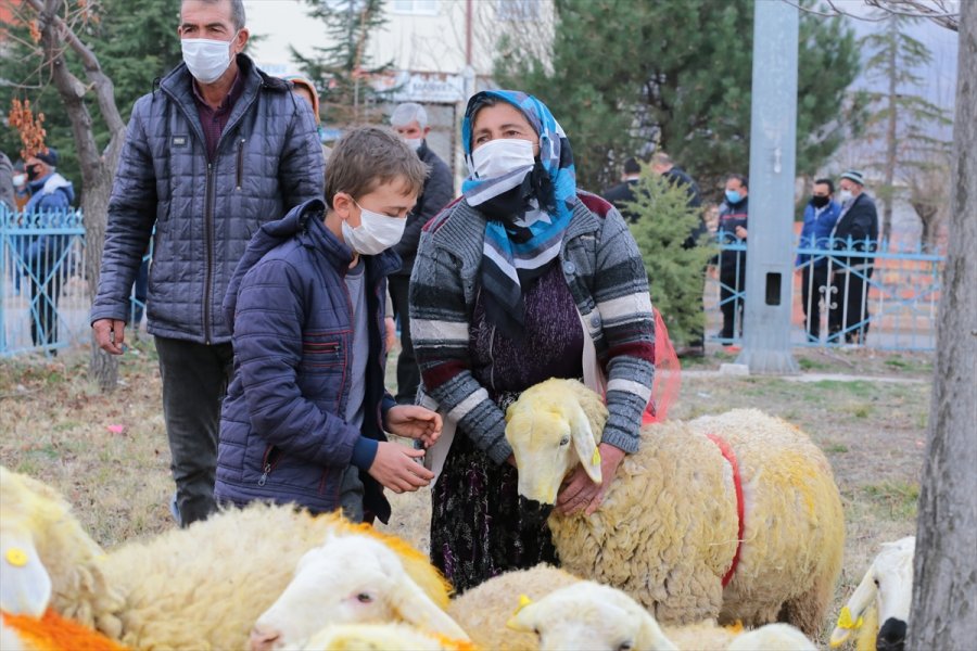 Aksaray Valiliği Trafik Kazasında Koyunları Telef Olan Şerife Nineyi Sevindirdi