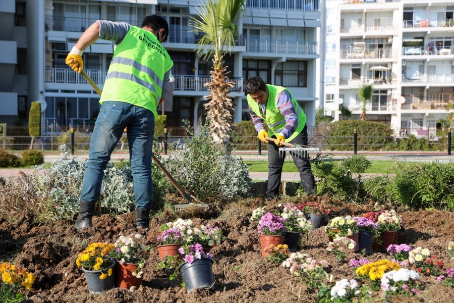 Erdemli Belediyesi Yılda 20 Bin Fidan Üretiyor
