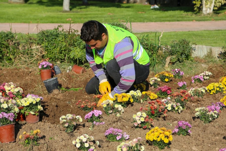 Erdemli Belediyesi Yılda 20 Bin Fidan Üretiyor