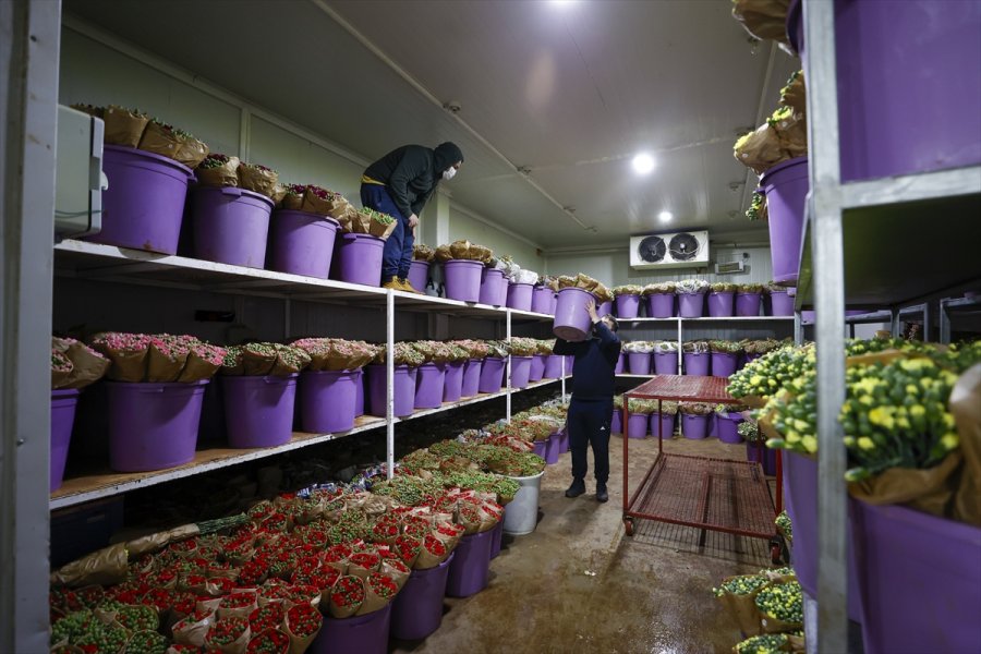 Çiçek Sektöründen 83 Ülkeye 107 Milyon Dolarlık İhracat