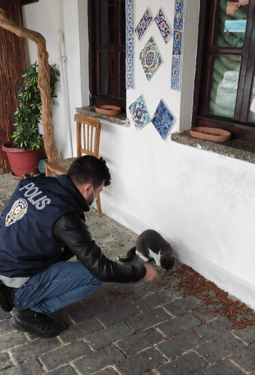 Kaş'ta Sokak Hayvanları İçin Mama Ve Su Bırakıldı