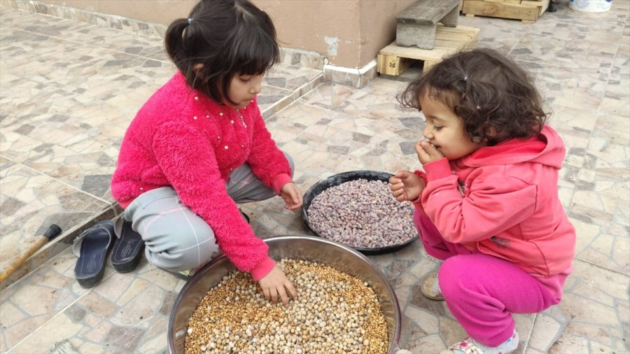 Gülnar'da Kış Aylarının Çerezi Kavurga Büyük İlgi Görüyor