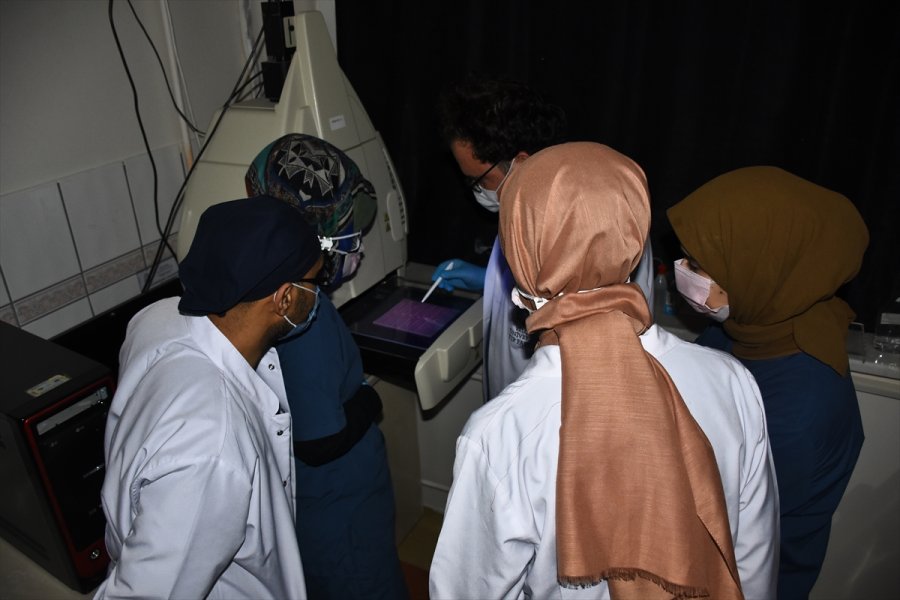 Selçuk Üniversitesi'nde Geliştirilen Türkiye'nin İlk Mrna Aşısının Yazın Kullanıma Sunulması Planlanıyor