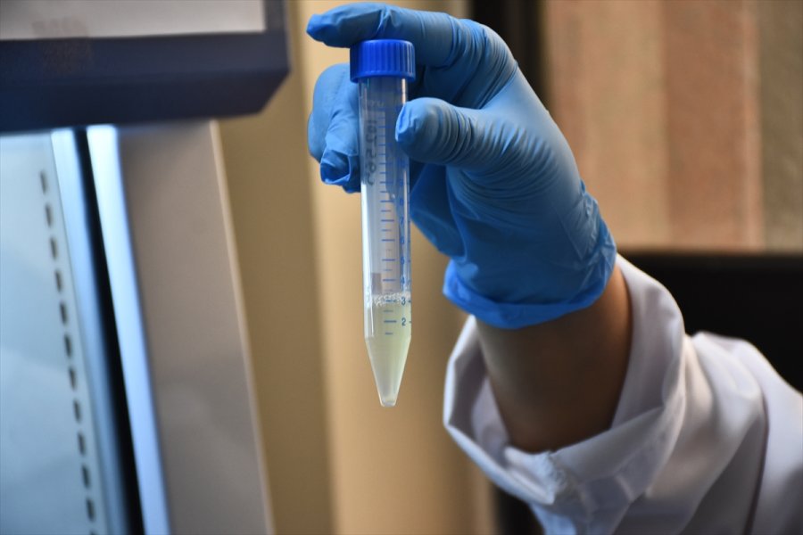 Selçuk Üniversitesi'nde Geliştirilen Türkiye'nin İlk Mrna Aşısının Yazın Kullanıma Sunulması Planlanıyor