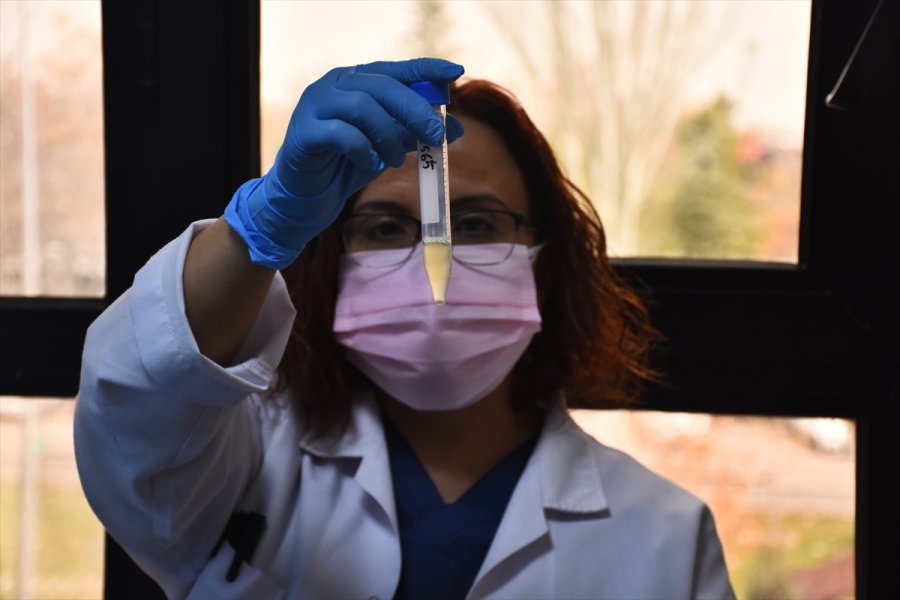 Selçuk Üniversitesi'nde Geliştirilen Türkiye'nin İlk Mrna Aşısının Yazın Kullanıma Sunulması Planlanıyor